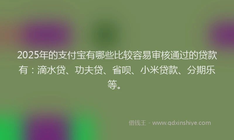 2025年的支付宝有哪些比较容易审核通过的贷款有：滴水贷、功夫贷、省呗、小米贷款、分期乐等。