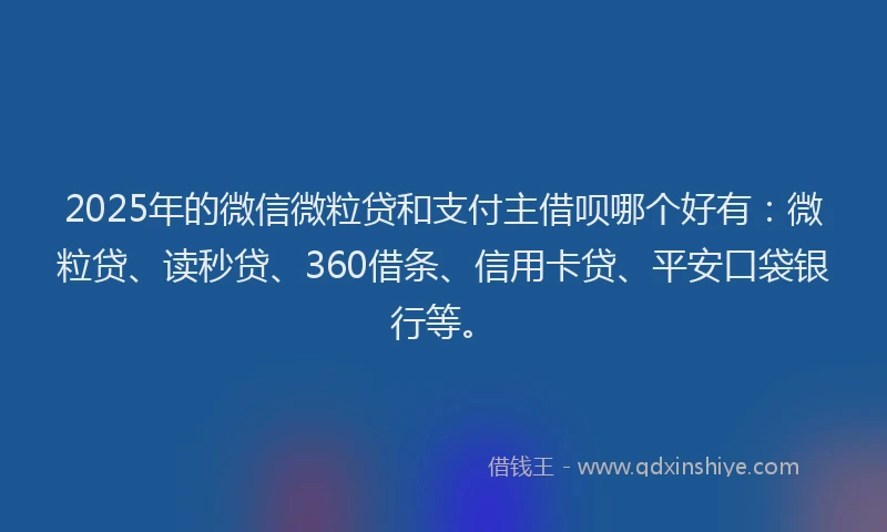 2025年的微信微粒贷和支付主借呗哪个好有：微粒贷、读秒贷、360借条、信用卡贷、平安口袋银行等。