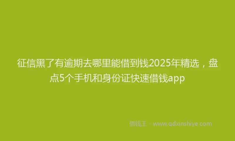 征信黑了有逾期去哪里能借到钱2025年精选，盘点5个手机和身份证快速借钱app