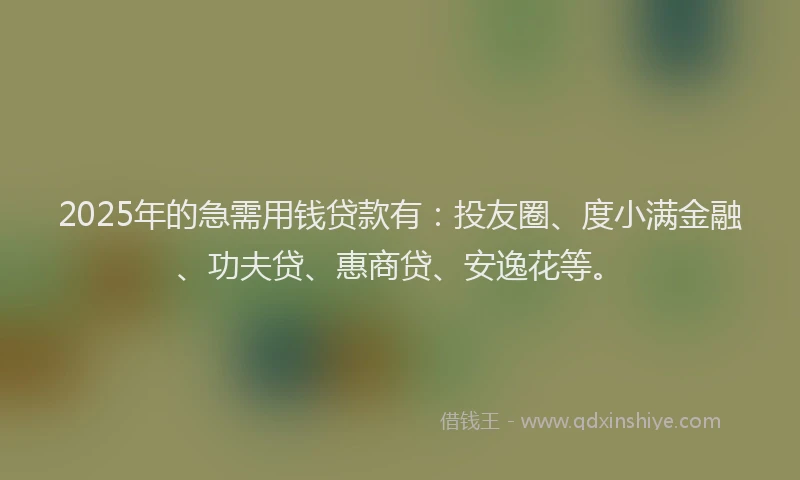 2025年的急需用钱贷款有：投友圈、度小满金融、功夫贷、惠商贷、安逸花等。