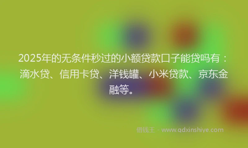 2025年的无条件秒过的小额贷款口子能贷吗有：滴水贷、信用卡贷、洋钱罐、小米贷款、京东金融等。