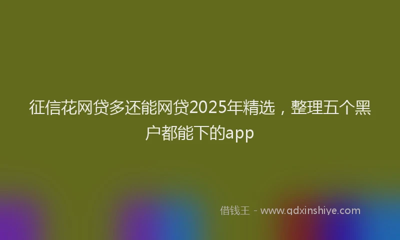 征信花网贷多还能网贷2025年精选，整理五个黑户都能下的app