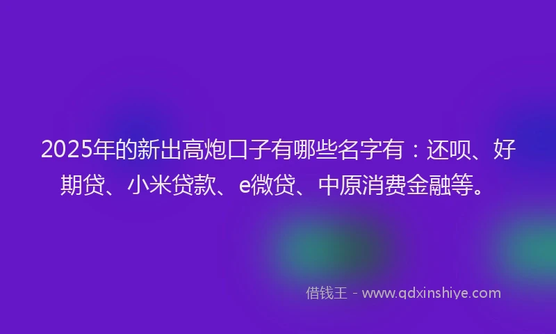 2025年的新出高炮口子有哪些名字有：还呗、好期贷、小米贷款、e微贷、中原消费金融等。