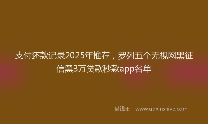 支付还款记录2025年推荐，罗列五个无视网黑征信黑3万贷款秒款app名单