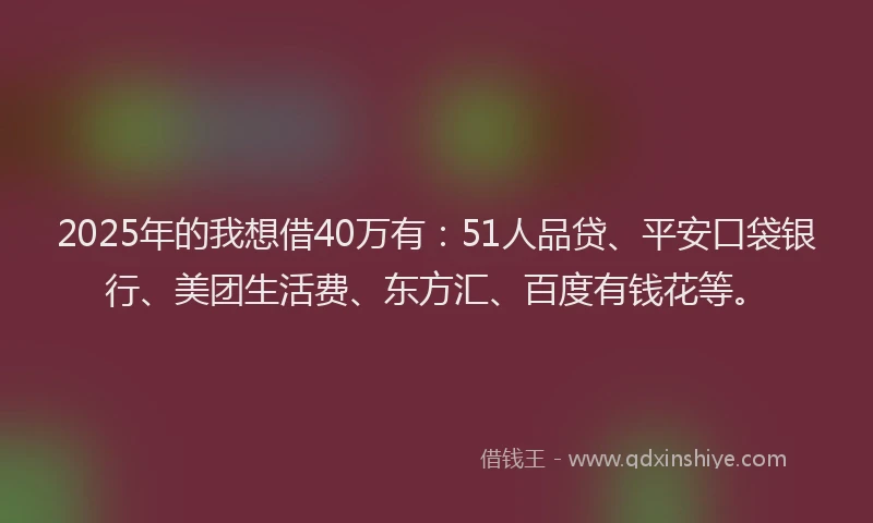 2025年的我想借40万有：51人品贷、平安口袋银行、美团生活费、东方汇、百度有钱花等。