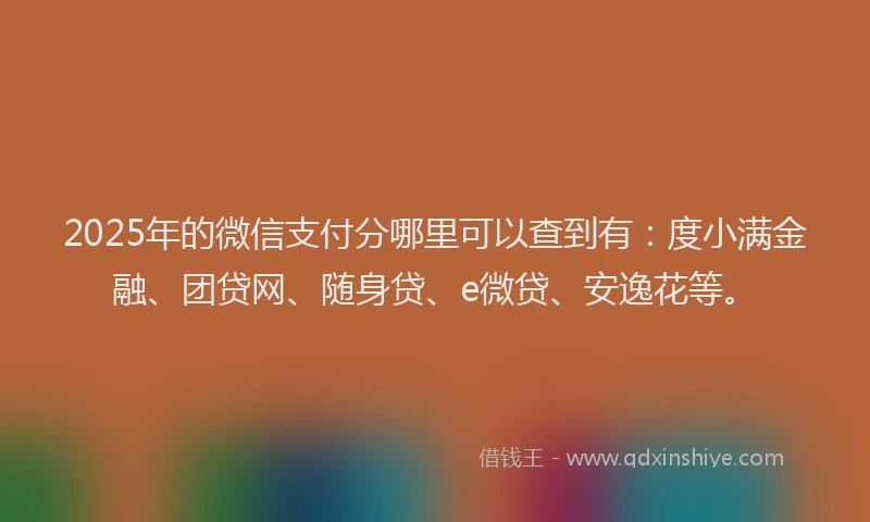 2025年的微信支付分哪里可以查到有：度小满金融、团贷网、随身贷、e微贷、安逸花等。