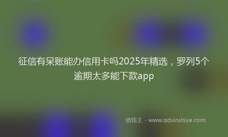 征信有呆账能办信用卡吗2025年精选，罗列5个逾期太多能下款app