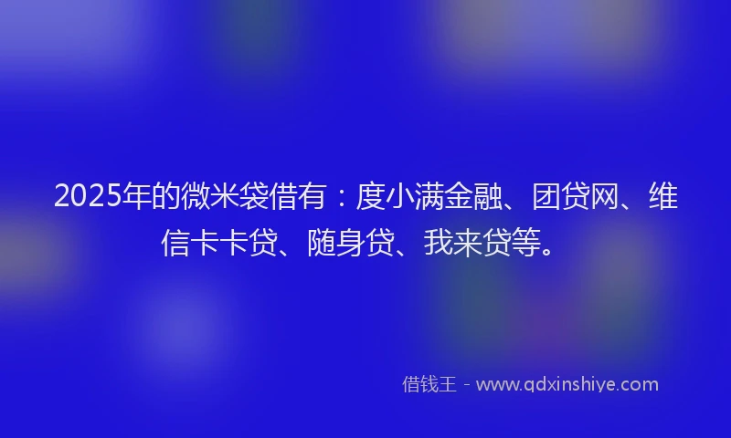 2025年的微米袋借有：度小满金融、团贷网、维信卡卡贷、随身贷、我来贷等。