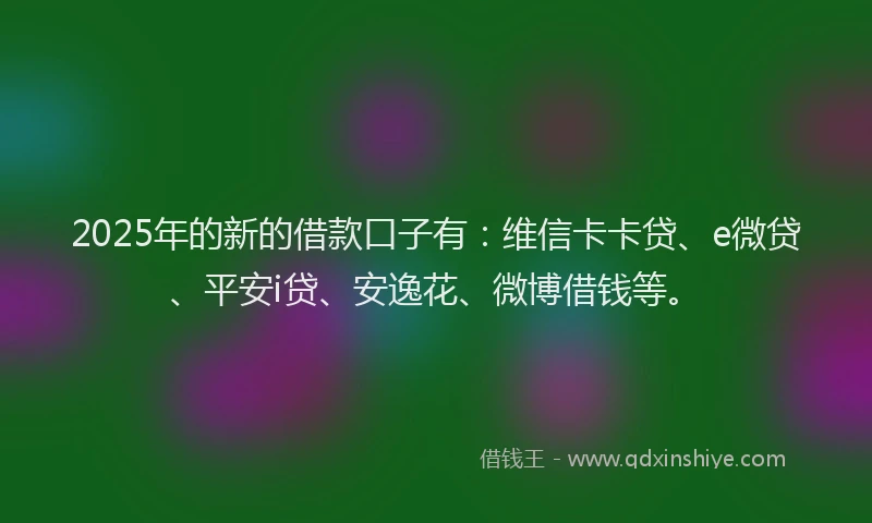 2025年的新的借款口子有：维信卡卡贷、e微贷、平安i贷、安逸花、微博借钱等。
