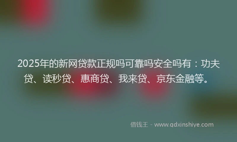 2025年的新网贷款正规吗可靠吗安全吗有：功夫贷、读秒贷、惠商贷、我来贷、京东金融等。
