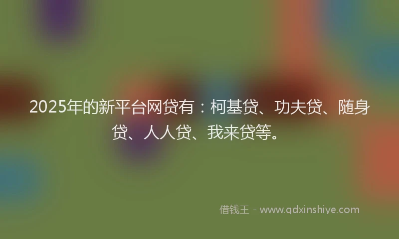 2025年的新平台网贷有：柯基贷、功夫贷、随身贷、人人贷、我来贷等。
