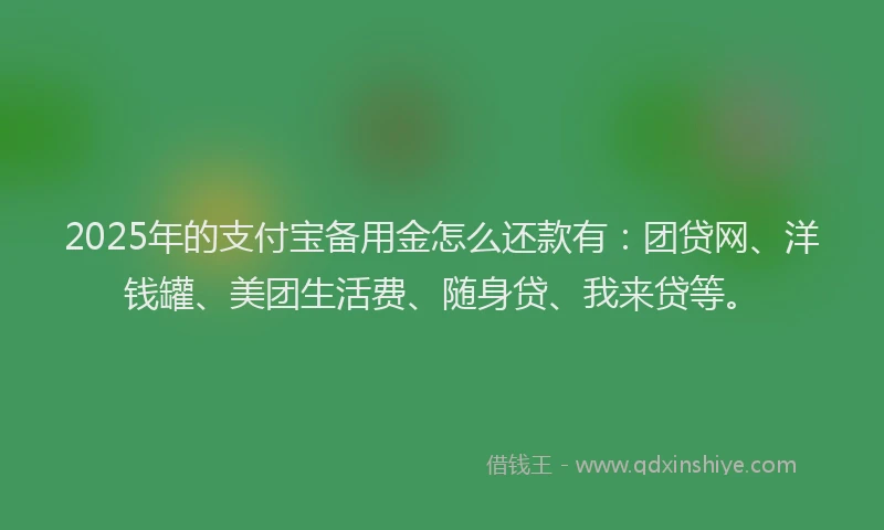 2025年的支付宝备用金怎么还款有：团贷网、洋钱罐、美团生活费、随身贷、我来贷等。