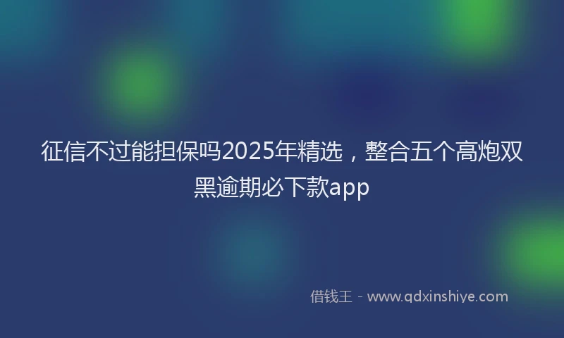 征信不过能担保吗2025年精选，整合五个高炮双黑逾期必下款app