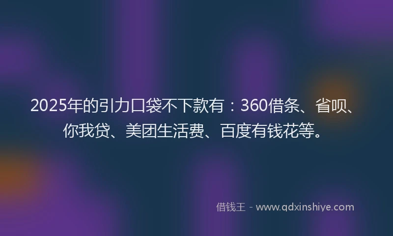 2025年的引力口袋不下款有：360借条、省呗、你我贷、美团生活费、百度有钱花等。