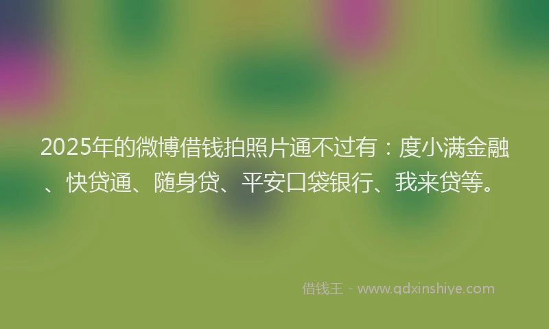 2025年的微博借钱拍照片通不过有：度小满金融、快贷通、随身贷、平安口袋银行、我来贷等。
