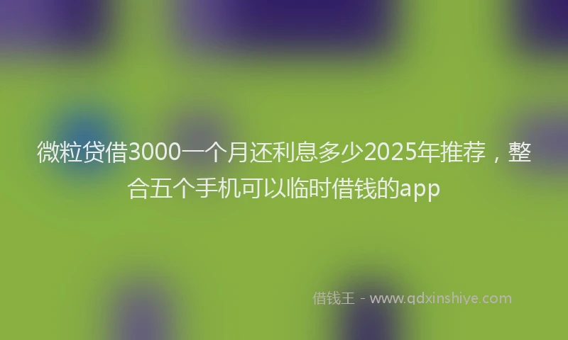微粒贷借3000一个月还利息多少2025年推荐，整合五个手机可以临时借钱的app