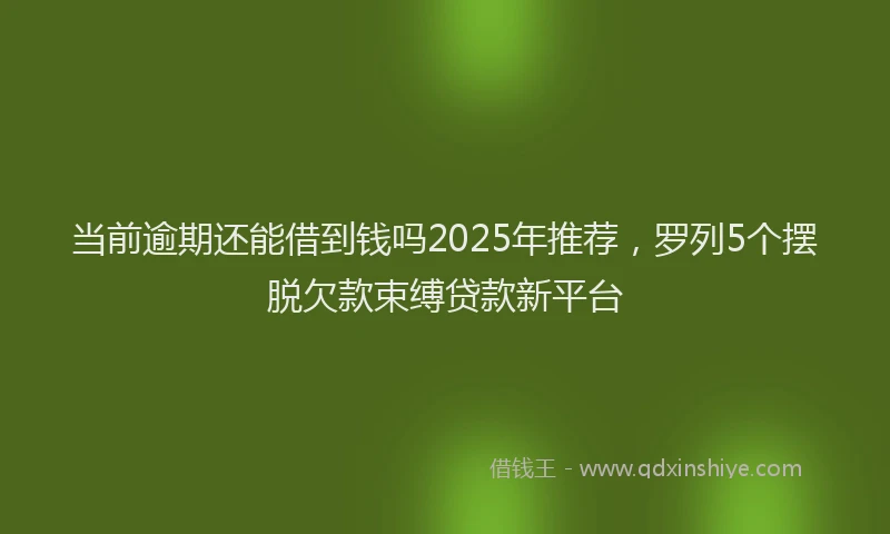当前逾期还能借到钱吗2025年推荐，罗列5个摆脱欠款束缚贷款新平台