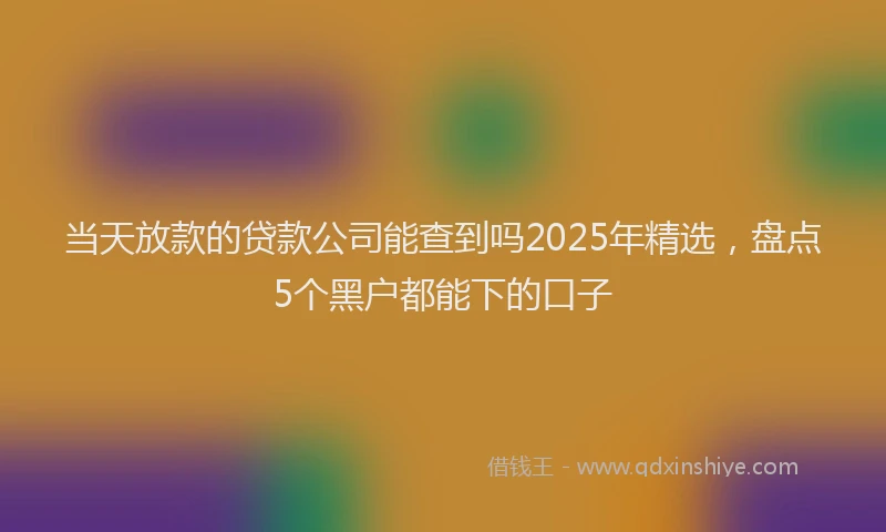 当天放款的贷款公司能查到吗2025年精选，盘点5个黑户都能下的口子