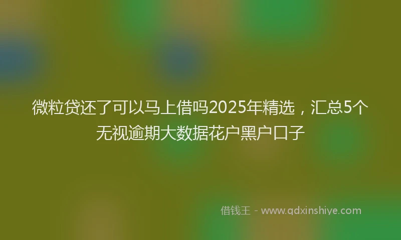 微粒贷还了可以马上借吗2025年精选，汇总5个无视逾期大数据花户黑户口子