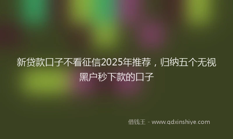 新贷款口子不看征信2025年推荐，归纳五个无视黑户秒下款的口子