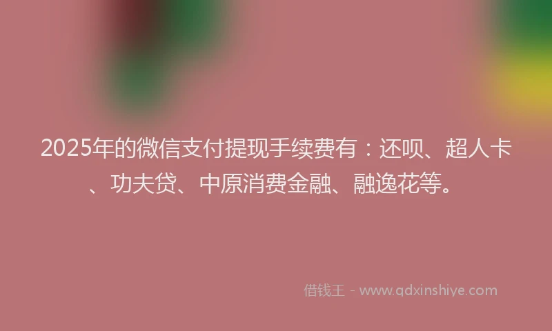 2025年的微信支付提现手续费有：还呗、超人卡、功夫贷、中原消费金融、融逸花等。