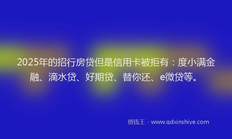 2025年的招行房贷但是信用卡被拒有：度小满金融、滴水贷、好期贷、替你还、e微贷等。