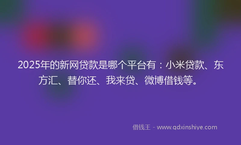2025年的新网贷款是哪个平台有：小米贷款、东方汇、替你还、我来贷、微博借钱等。