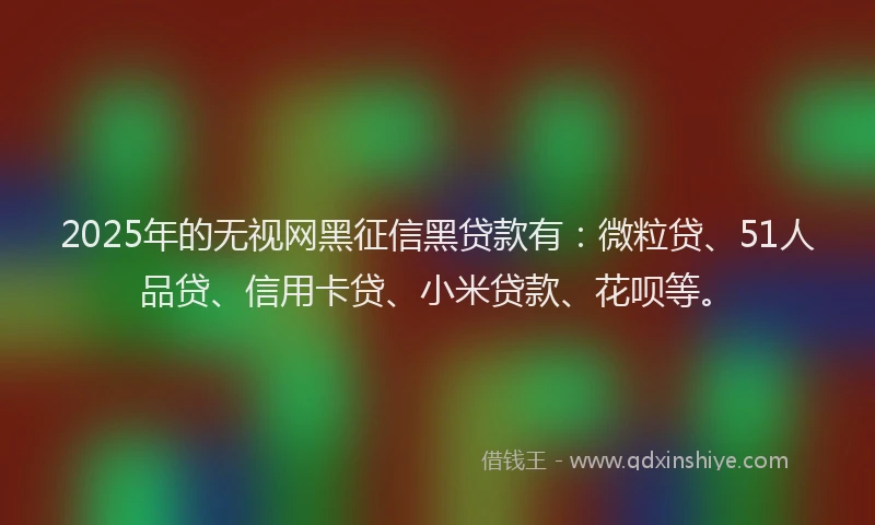 2025年的无视网黑征信黑贷款有：微粒贷、51人品贷、信用卡贷、小米贷款、花呗等。