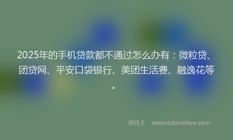 2025年的手机贷款都不通过怎么办有：微粒贷、团贷网、平安口袋银行、美团生活费、融逸花等。