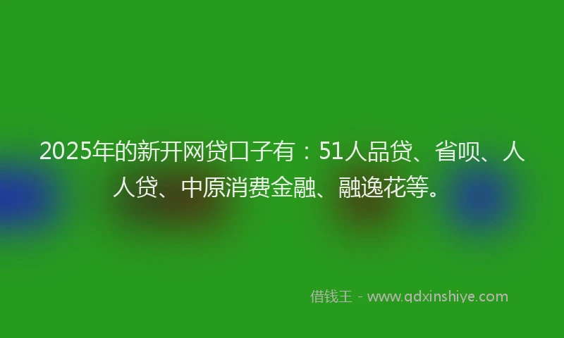 2025年的新开网贷口子有：51人品贷、省呗、人人贷、中原消费金融、融逸花等。