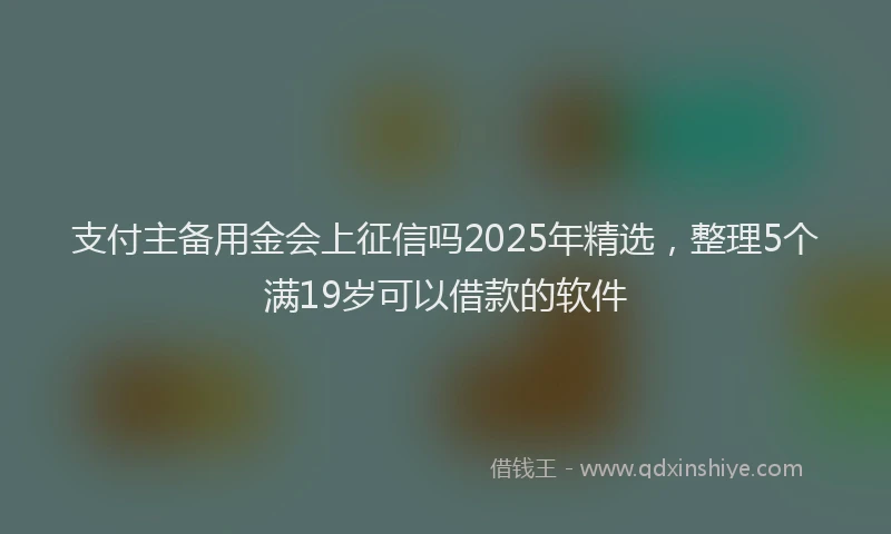 支付主备用金会上征信吗2025年精选，整理5个满19岁可以借款的软件