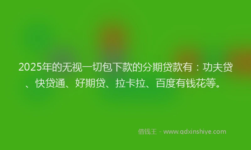 2025年的无视一切包下款的分期贷款有：功夫贷、快贷通、好期贷、拉卡拉、百度有钱花等。