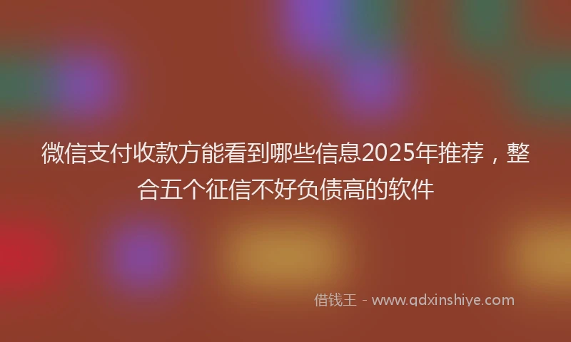 微信支付收款方能看到哪些信息2025年推荐，整合五个征信不好负债高的软件
