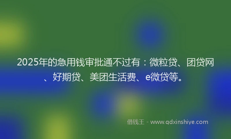 2025年的急用钱审批通不过有：微粒贷、团贷网、好期贷、美团生活费、e微贷等。