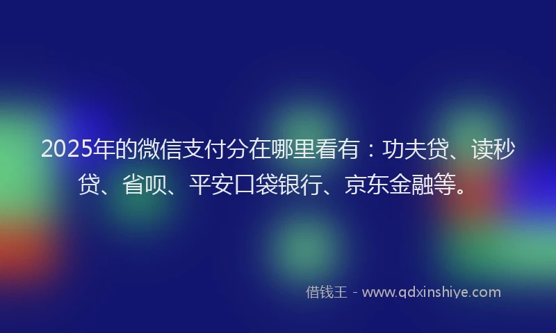 2025年的微信支付分在哪里看有：功夫贷、读秒贷、省呗、平安口袋银行、京东金融等。