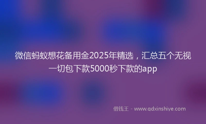 微信蚂蚁想花备用金2025年精选，汇总五个无视一切包下款5000秒下款的app