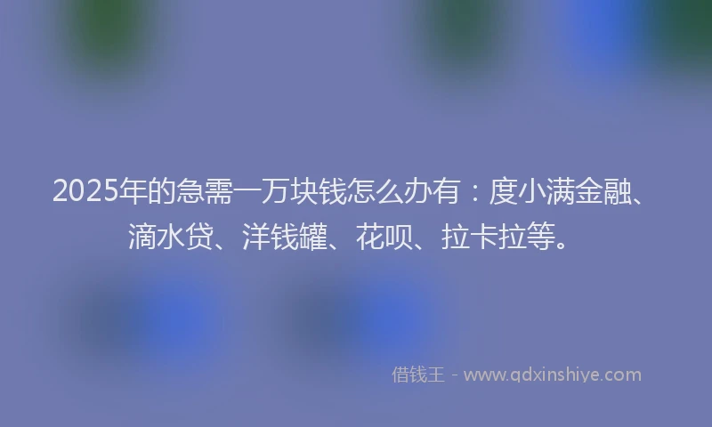 2025年的急需一万块钱怎么办有：度小满金融、滴水贷、洋钱罐、花呗、拉卡拉等。