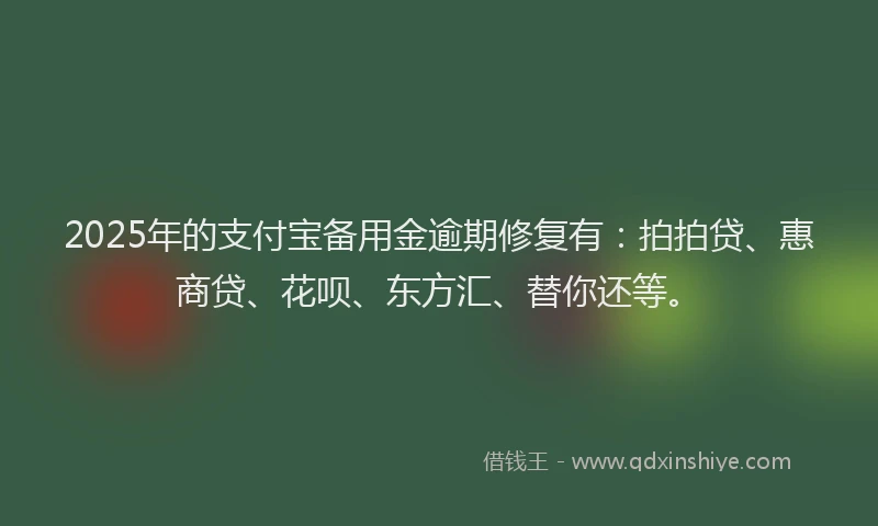 2025年的支付宝备用金逾期修复有：拍拍贷、惠商贷、花呗、东方汇、替你还等。