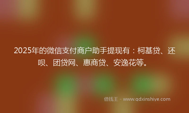 2025年的微信支付商户助手提现有：柯基贷、还呗、团贷网、惠商贷、安逸花等。