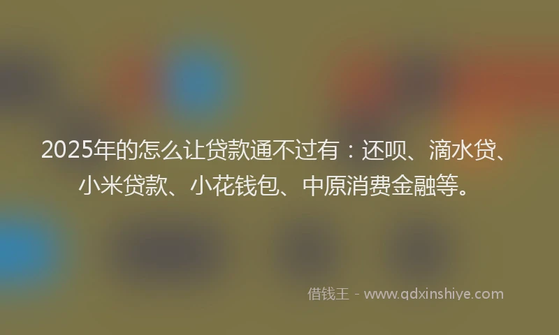 2025年的怎么让贷款通不过有：还呗、滴水贷、小米贷款、小花钱包、中原消费金融等。