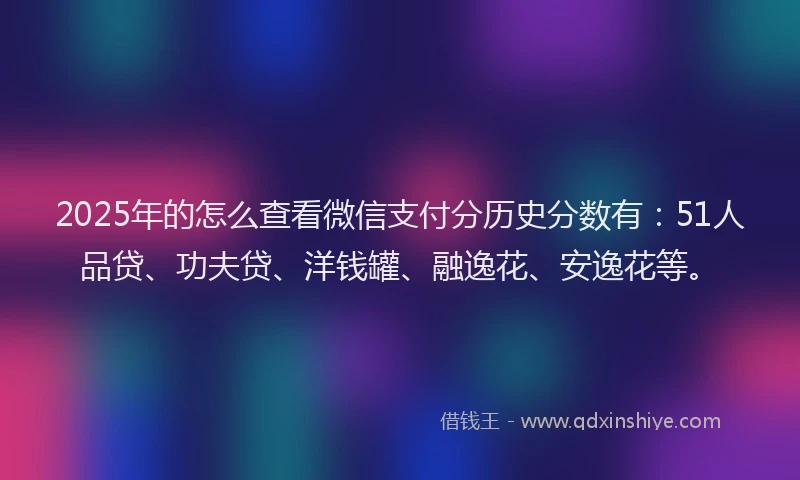2025年的怎么查看微信支付分历史分数有：51人品贷、功夫贷、洋钱罐、融逸花、安逸花等。