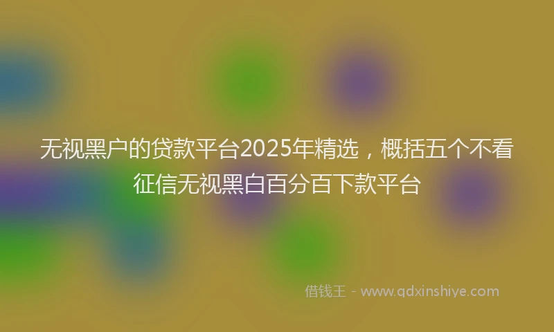 无视黑户的贷款平台2025年精选，概括五个不看征信无视黑白百分百下款平台