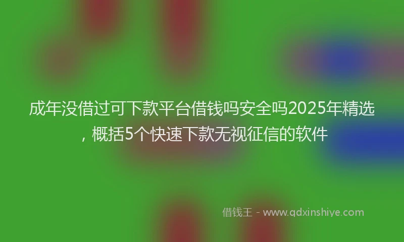 成年没借过可下款平台借钱吗安全吗2025年精选，概括5个快速下款无视征信的软件