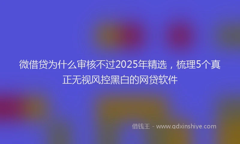 微借贷为什么审核不过2025年精选，梳理5个真正无视风控黑白的网贷软件