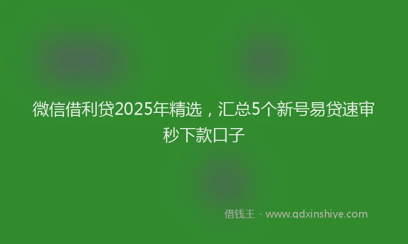 微信借利贷2025年精选，汇总5个新号易贷速审秒下款口子