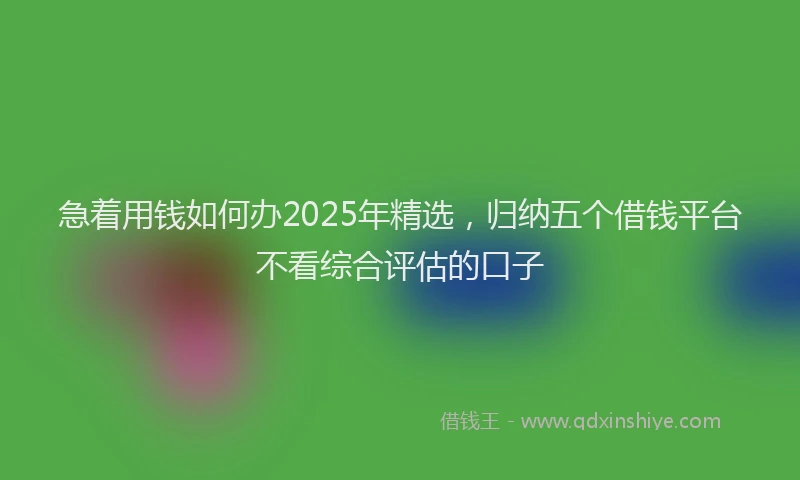 急着用钱如何办2025年精选，归纳五个借钱平台不看综合评估的口子