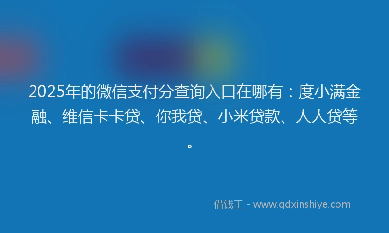 2025年的微信支付分查询入口在哪有：度小满金融、维信卡卡贷、你我贷、小米贷款、人人贷等。