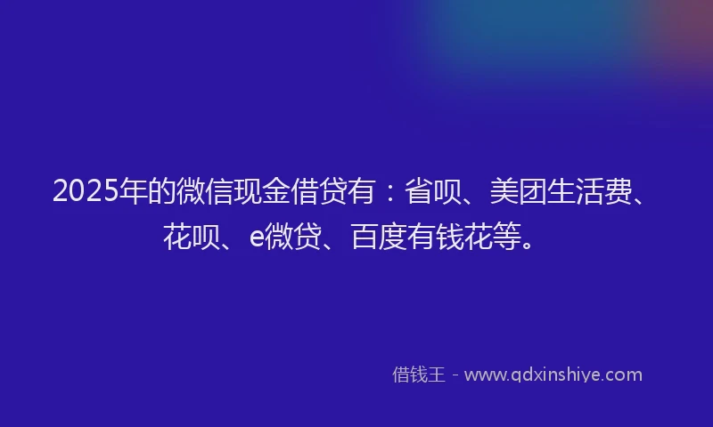 2025年的微信现金借贷有：省呗、美团生活费、花呗、e微贷、百度有钱花等。