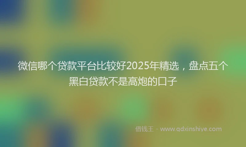 微信哪个贷款平台比较好2025年精选，盘点五个黑白贷款不是高炮的口子