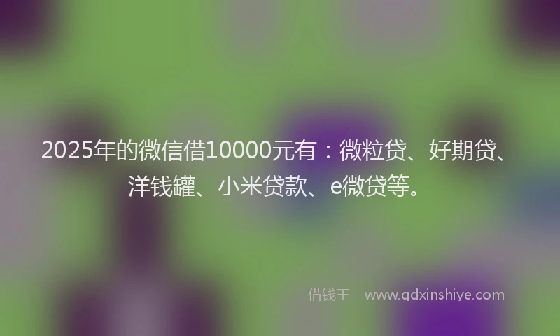 2025年的微信借10000元有：微粒贷、好期贷、洋钱罐、小米贷款、e微贷等。